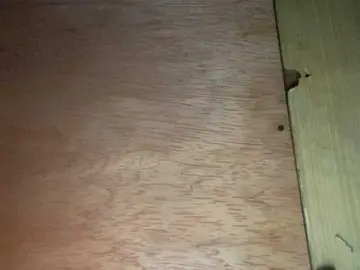 AsiankittiesのBongacamsでアダルトビデオチャット