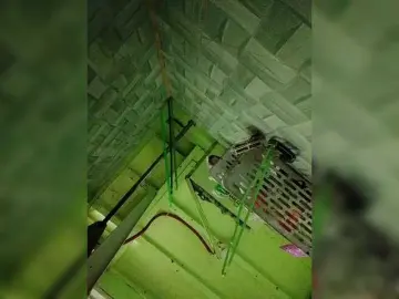 RhainneのBongacamsで高画質ウェブカメラ