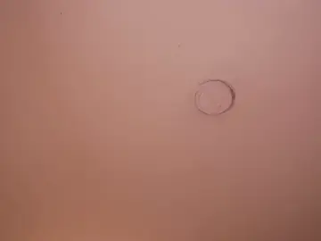 soidai_miiuのStripchatでセックスカメラ